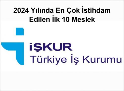 En Çok İstihdam Edilen İlk 10 Meslek: 2024 Yılı Rakamları Açıklandı